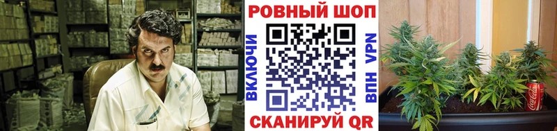 Сколько стоит Павловск Амфетамин Каннабис