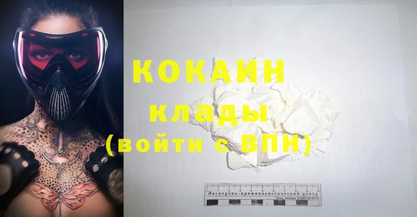 дмт Лабытнанги