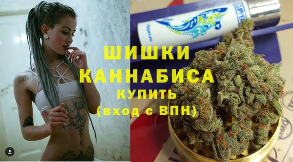 ГАЛЛЮЦИНОГЕННЫЕ ГРИБЫ Елабуга