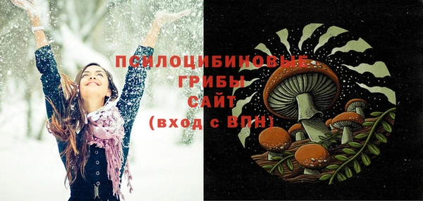 гашик Лихославль