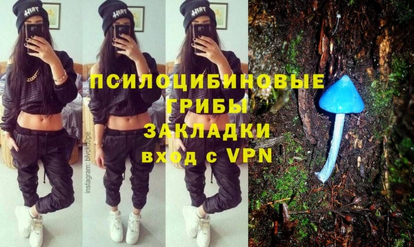 гашик Лихославль
